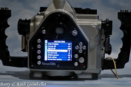 Posted Image